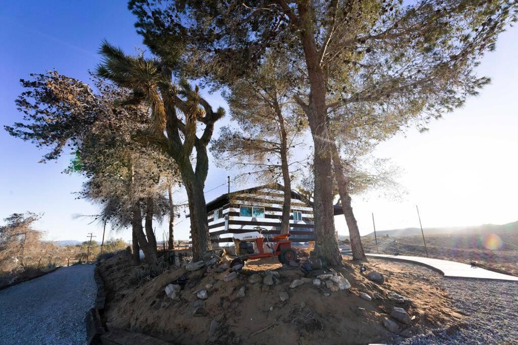 The Invisible Wind Cabin- Joshua Tree Amazing View Yucca Valley Eksteriør bilde